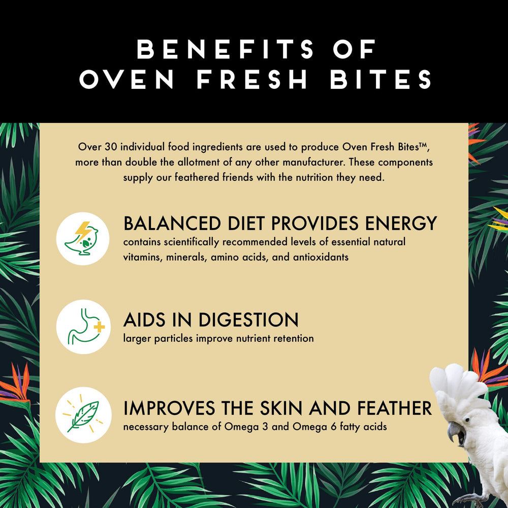 Oven Fresh Bites usage quotidien, pratique pour l'alimentation du perroquet moyen.