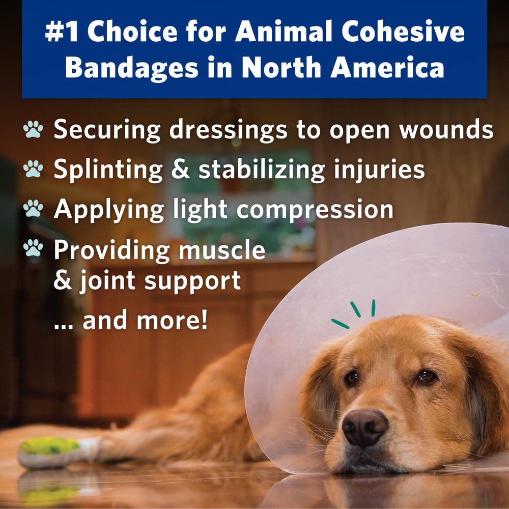 OVIK Health PetFlex No Chew – application sans ciseaux pour pose rapide et propre.