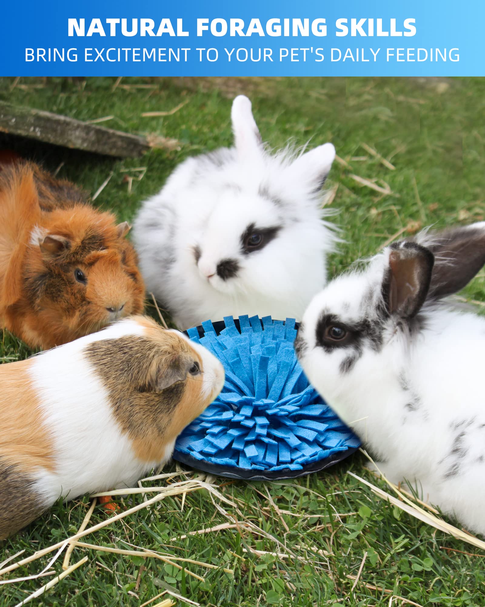 OVMKOV Cadeau idéal pour animaux et propriétaires cherchant enrichissement.
