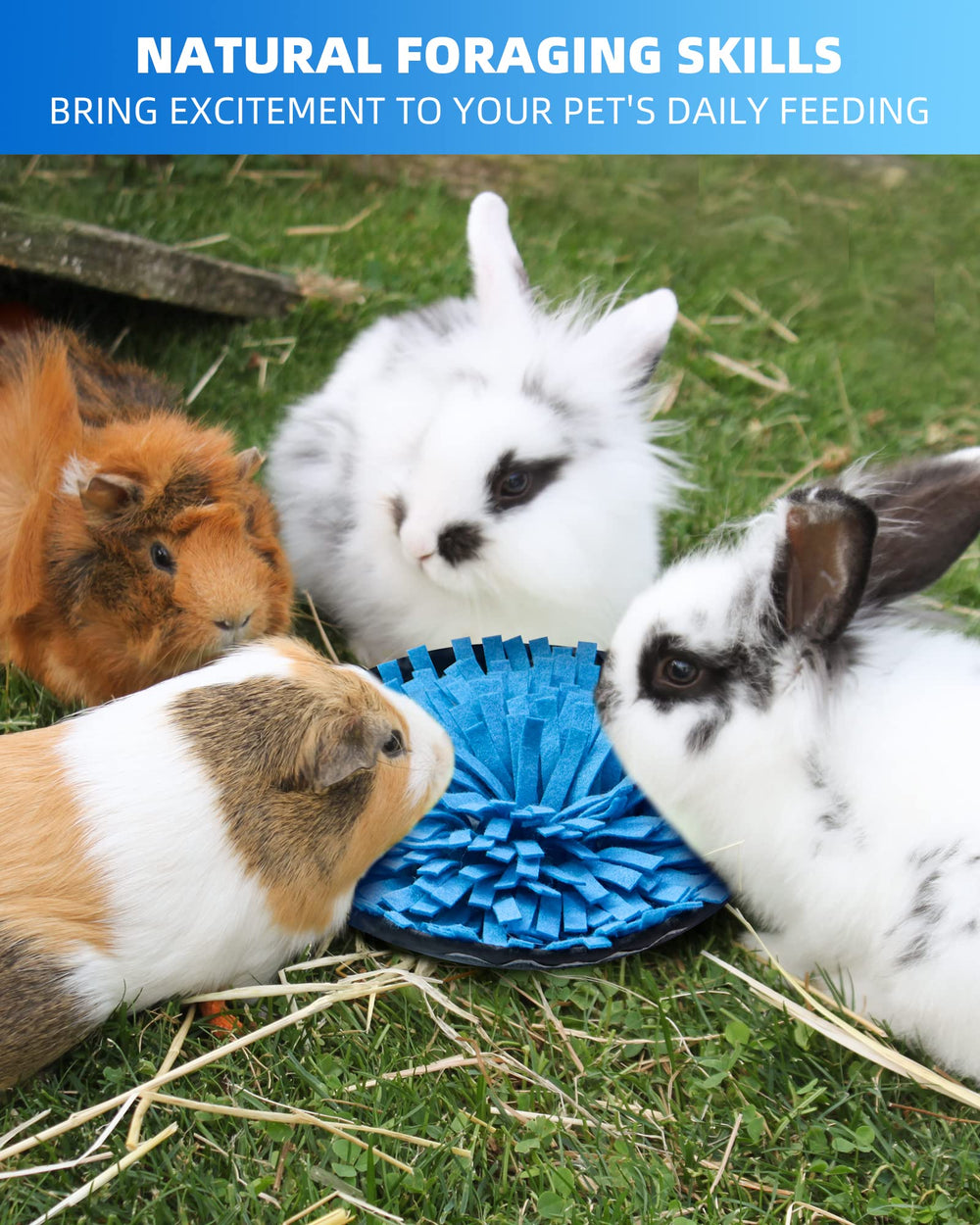 OVMKOV Cadeau idéal pour animaux et propriétaires cherchant enrichissement.