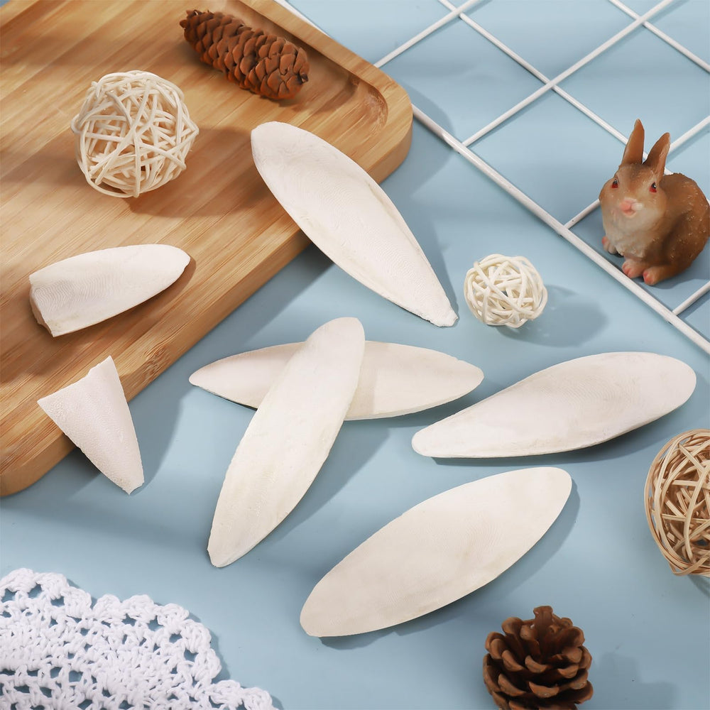 Ovveroche Cuttlebone calcium naturel utile pour oiseaux et tortues.
