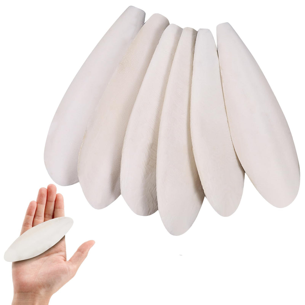 Ovveroche Cuttlebone – matériau naturel et sûr pour le mordillage quotidien.