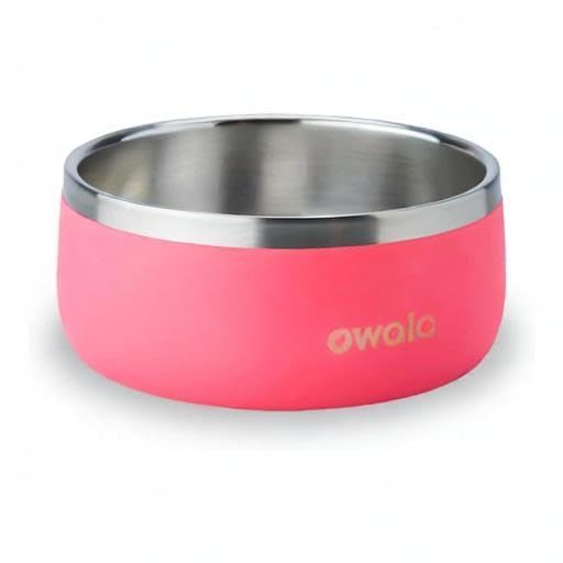 Chat ou chien utilisant le bol Owala rose, expérience de repas agréable.