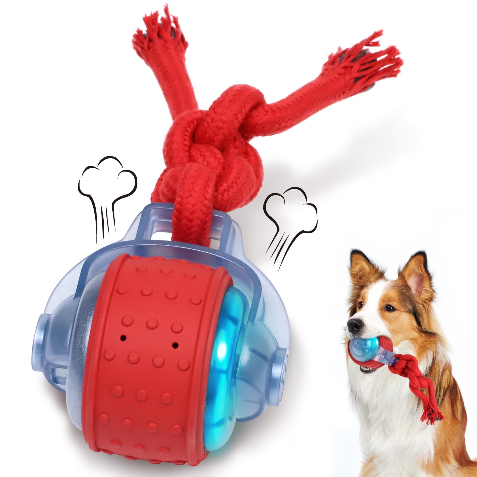 Oxawo balle interactive chien moyen-petit en mouvement stimulant l'amusement