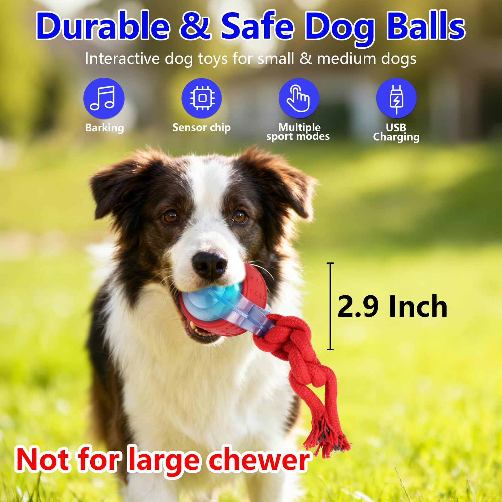 Oxawo balle-usb-rechargeable-chien pratique recharge rapide et utilisation extérieure