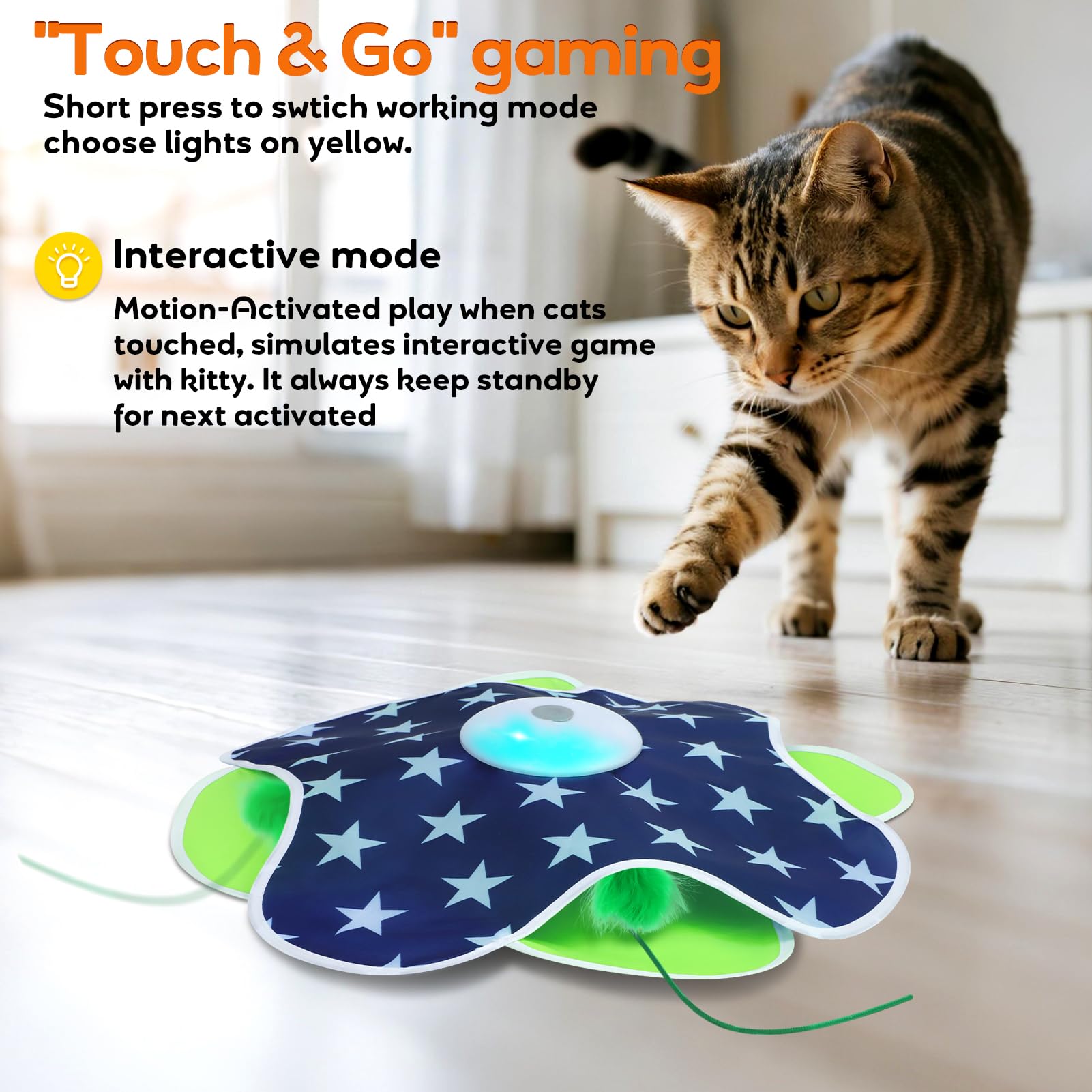Oxawo jouet-chat plume cachée dans tapis, exploration et curiosité accrues.
