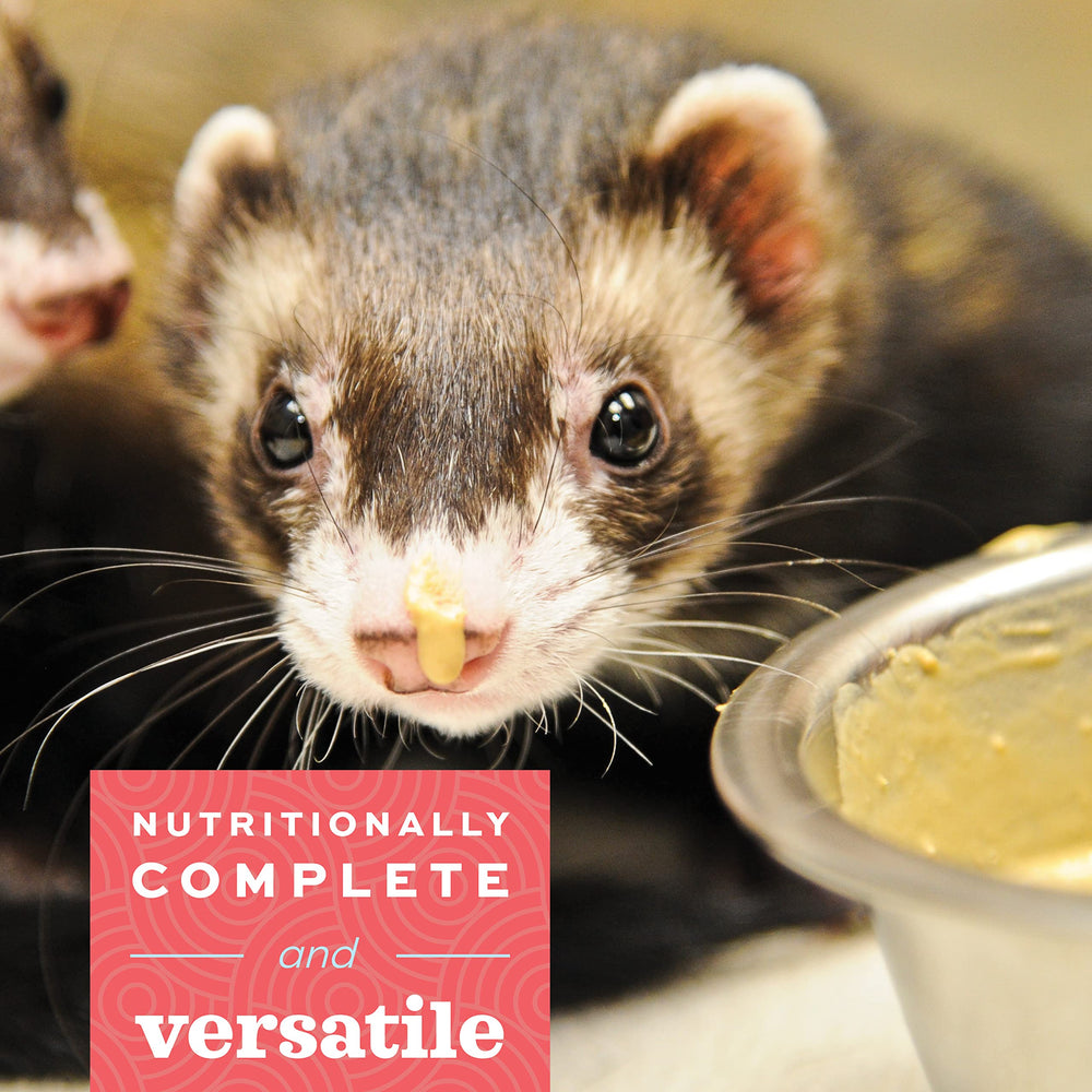 Oxbow Carnivore Care, texture-lisse: facilite l'appetit des carnivores.