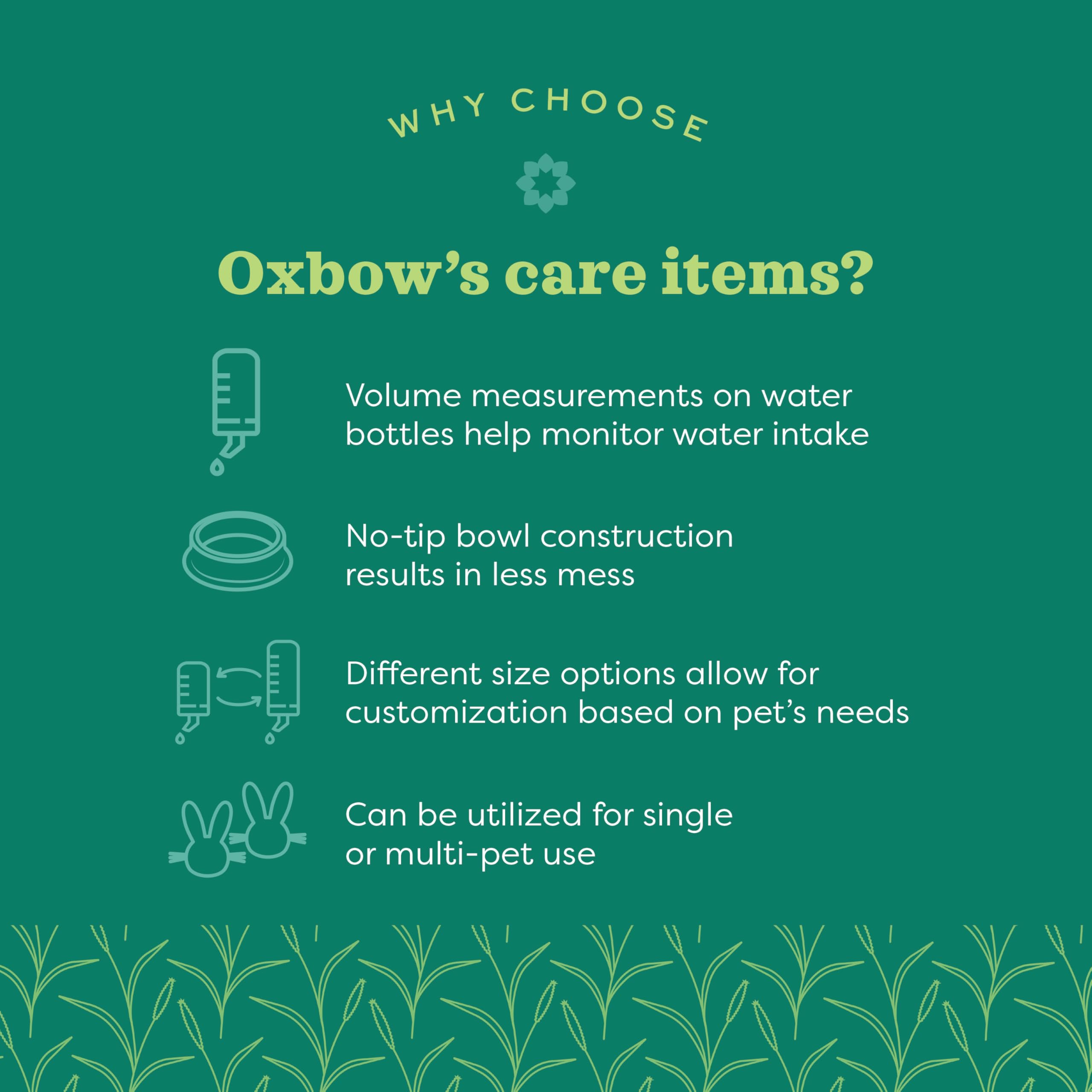Bouteille Oxbow Enriched Life sans fuite pour chinchilla, durabilité et sécurité.