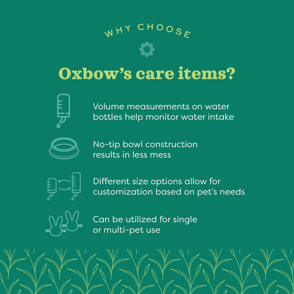 Bouteille Oxbow Enriched Life sans fuite pour chinchilla, durabilité et sécurité.