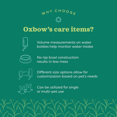Bouteille Oxbow Enriched Life sans fuite pour chinchilla, durabilité et sécurité.