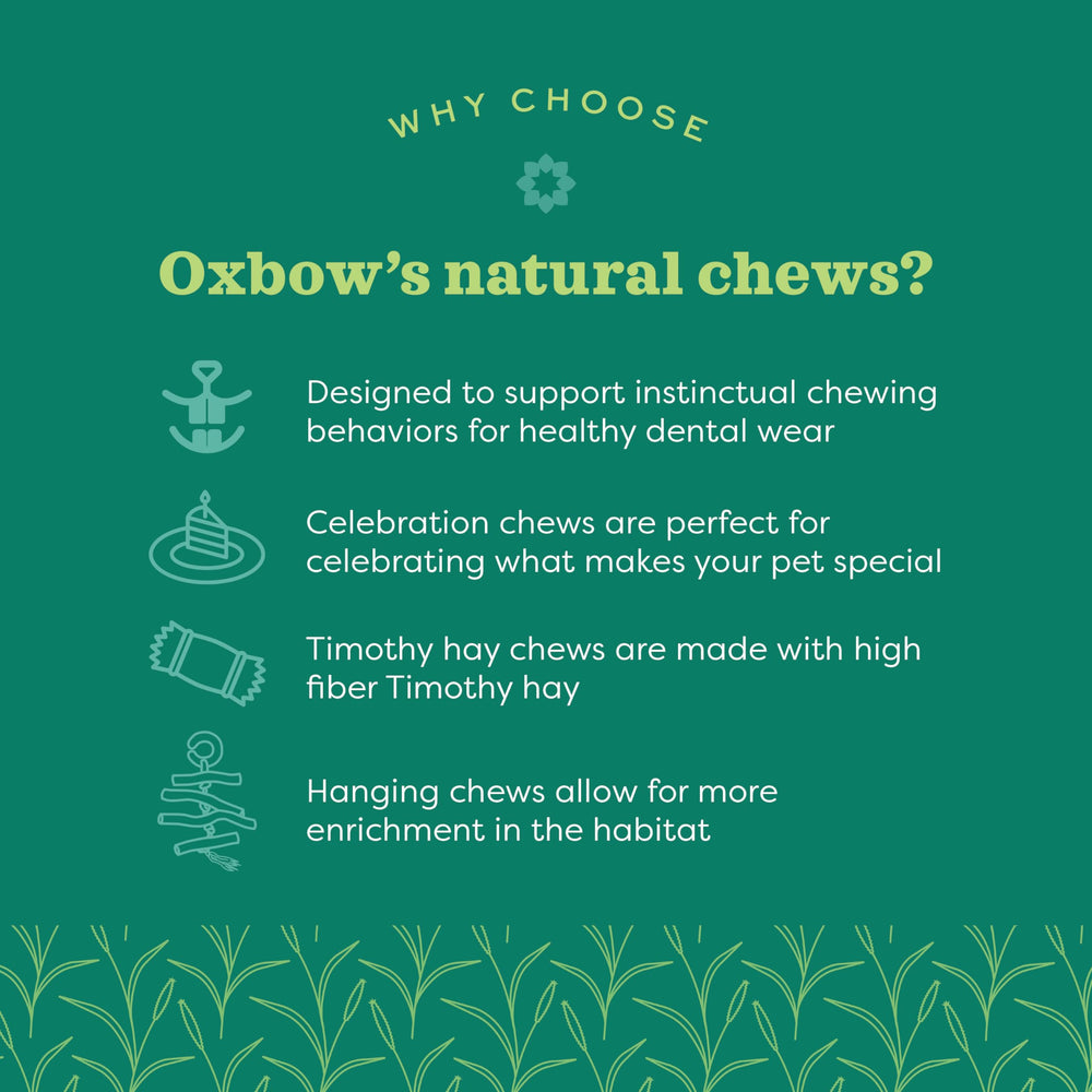oxbow enriched life design leger: facile à placer dans la cage ou en aire de jeux