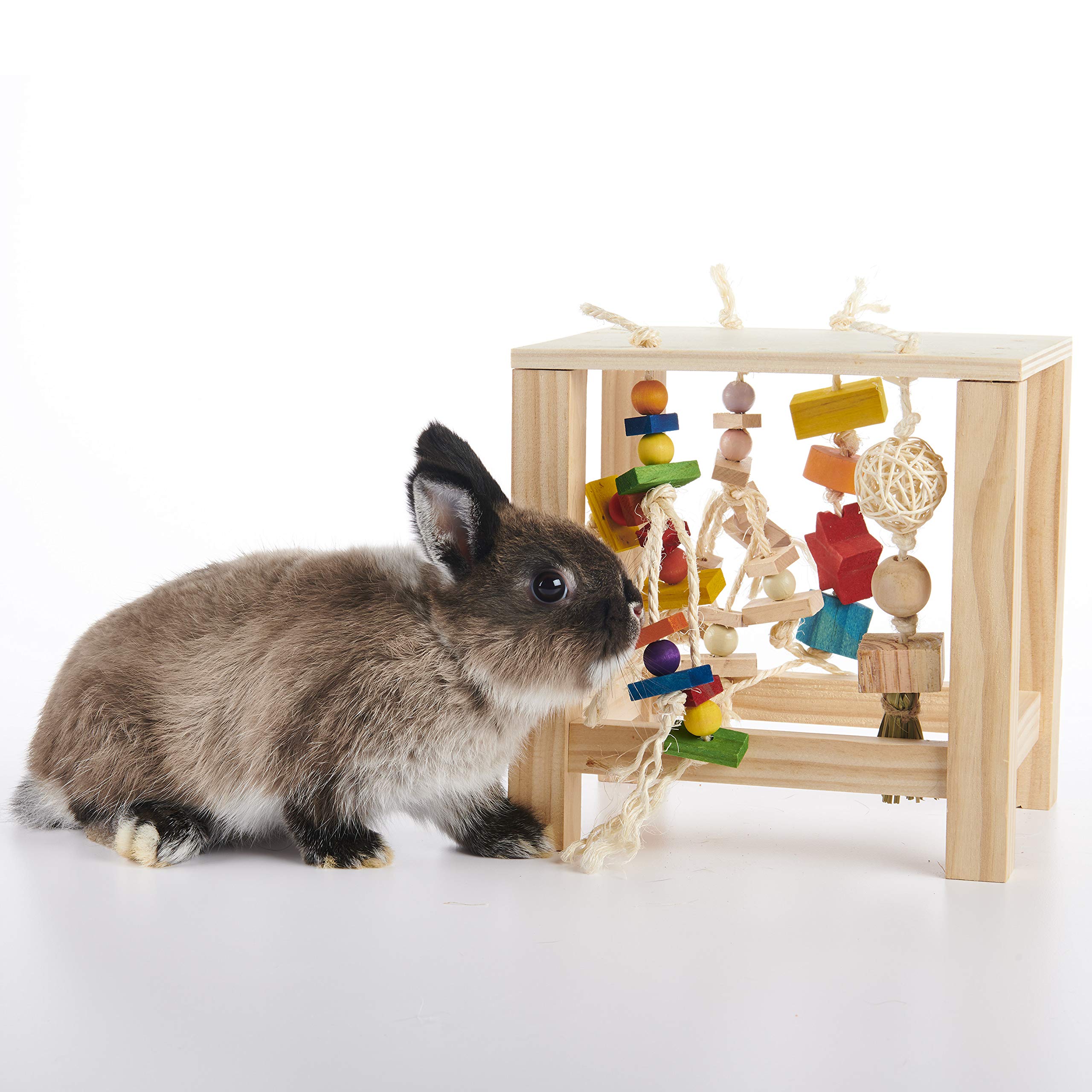 Oxbow Enriched Life Play Table - multi-animal: parfait pour habitats partagés et stimulation variée