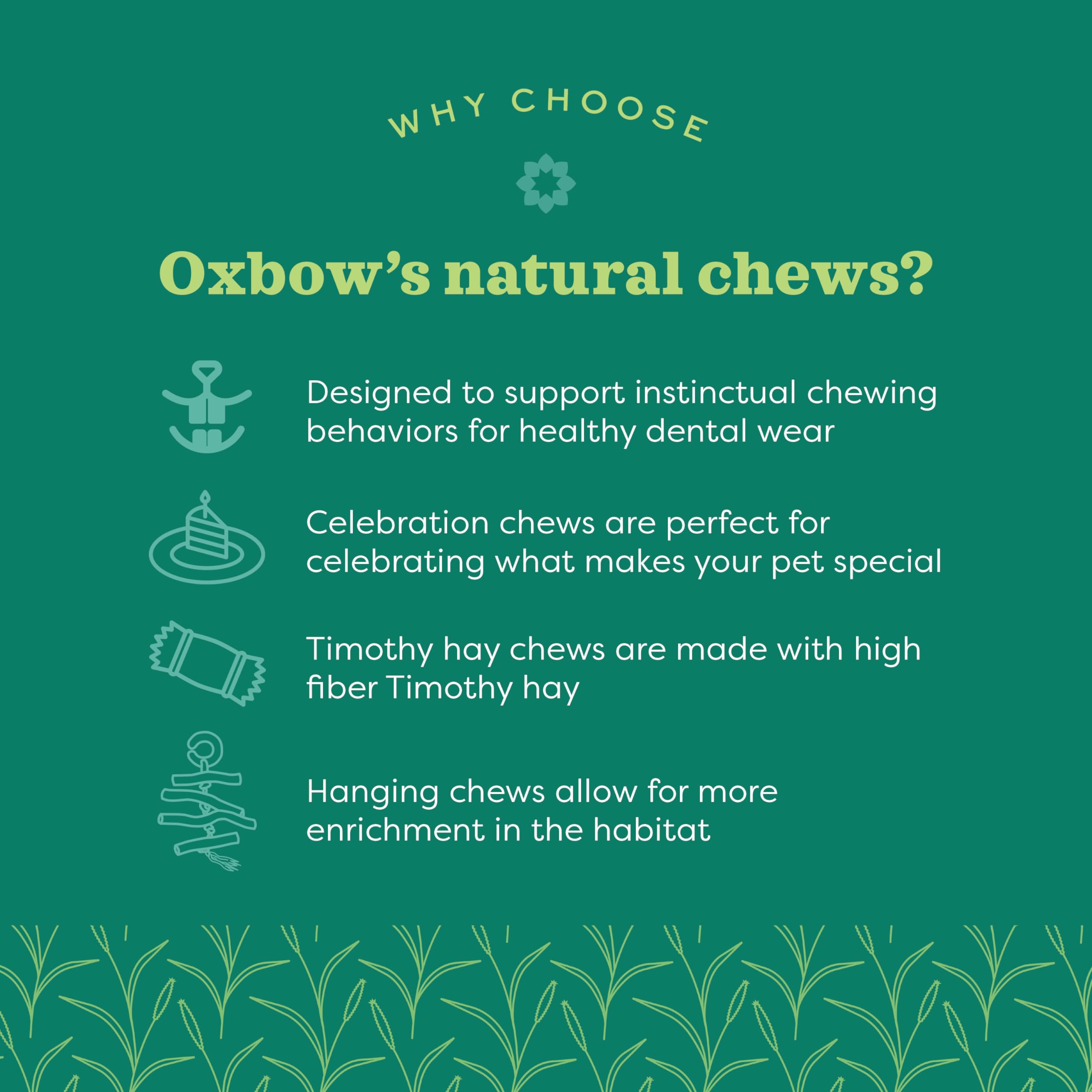 Oxbow gratoir naturel pour mastiquer et explorer en douceur.
