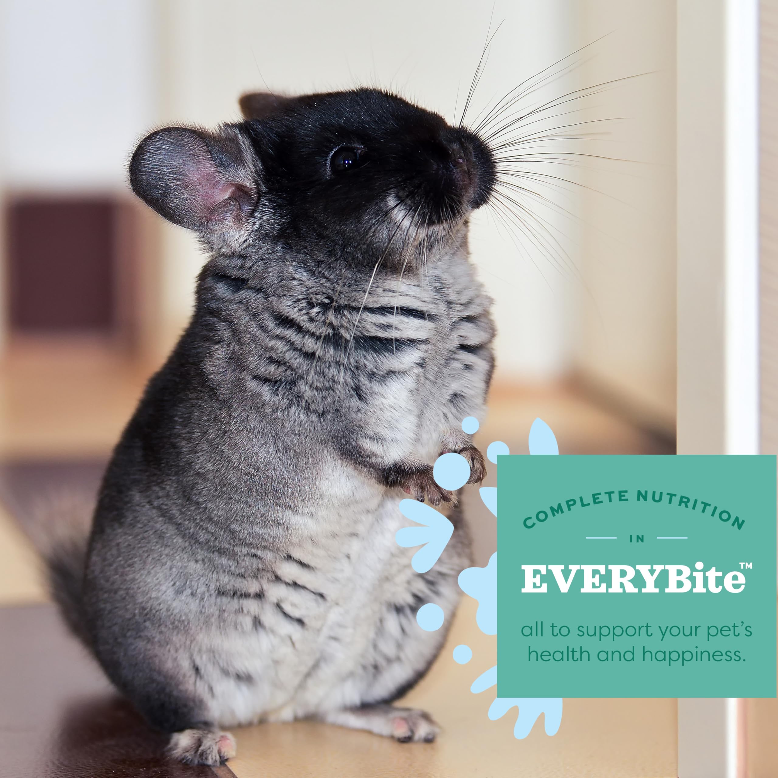 Oxbow Essentials Chinchilla — prébiotiques pour une flore intestinale saine.