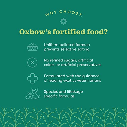 Oxbow Essentials Ferret Food – digestion efficace et nutrition complète dans chaque croquette.