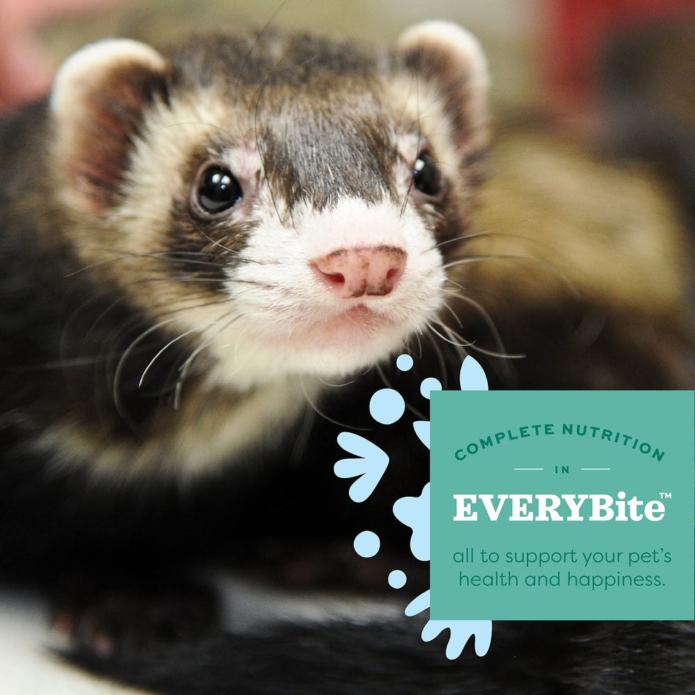 Oxbow Essentials Ferret Food – sans conservateurs artificiels ni arômes artificiels.
