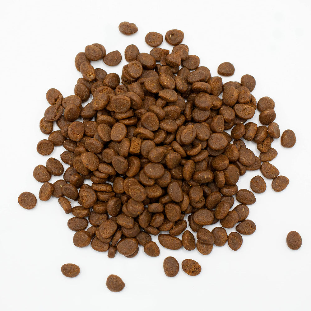 Oxbow Essentials Ferret Food – vitamines et minéraux complets pour immunité et croissance.
