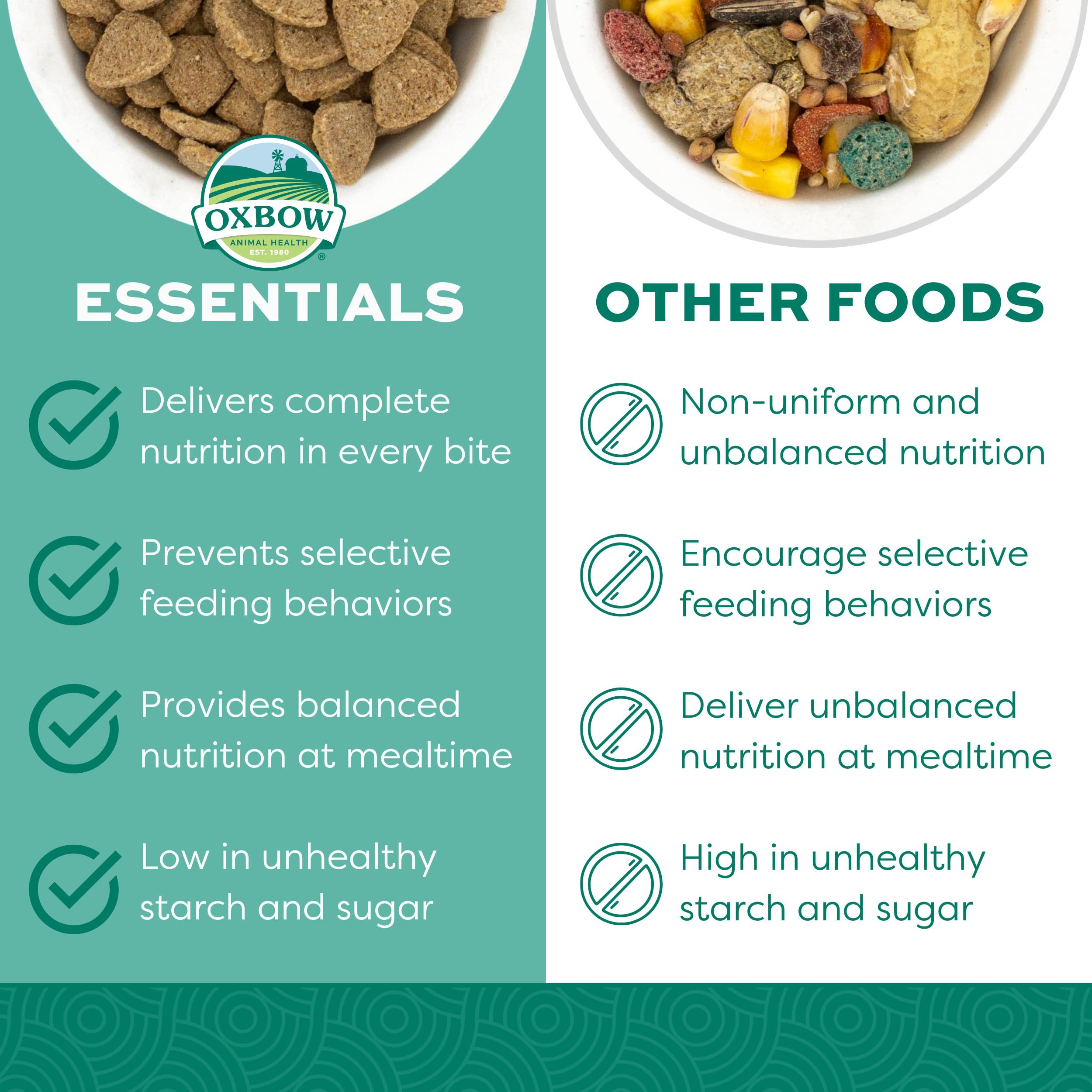Oxbow Essentials – immunité et prébiotiques pour rats en bonne vitalité.