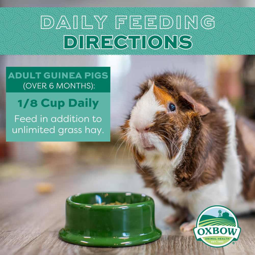 Oxbow Essentials pellets équilibre nutrition cobaye.