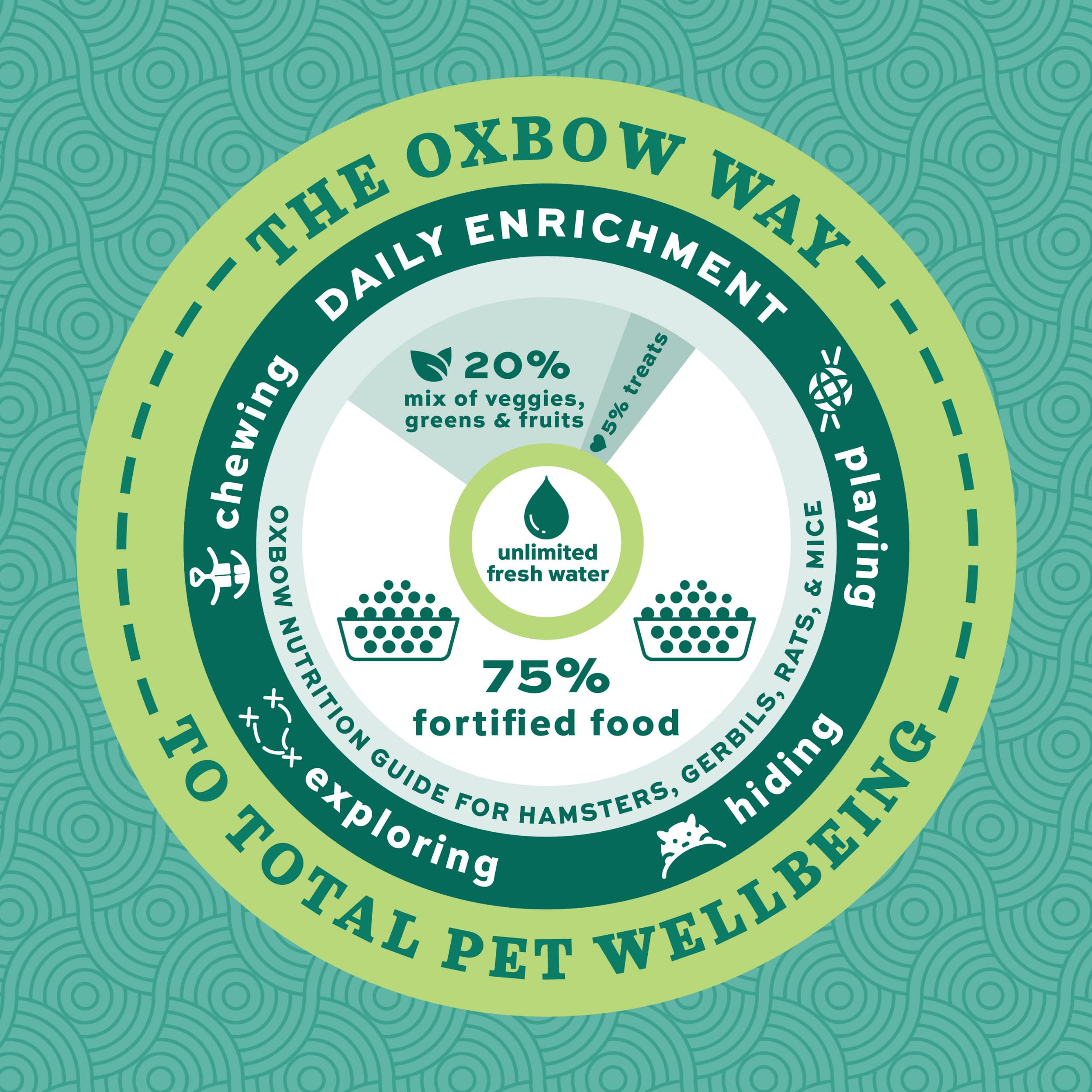 Oxbow Essentials sans artificiels rat: saveur naturelle et alimentation équilibrée.