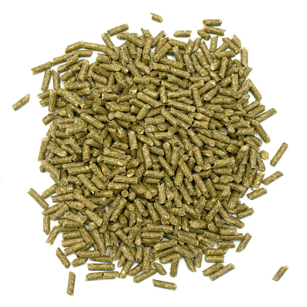 Antioxydants naturels gingembre curcuma camomille dans Oxbow sénior.