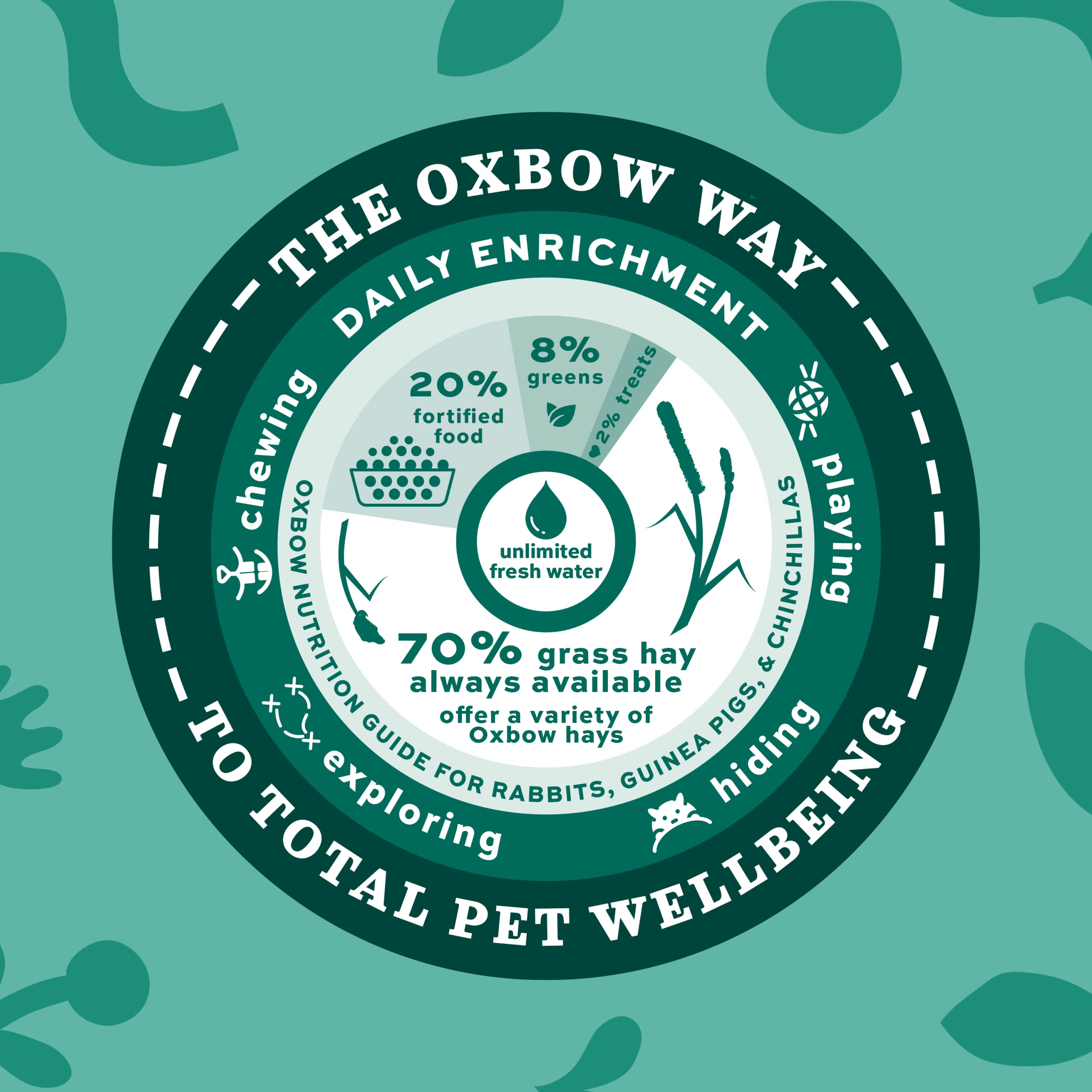Oxbow Essentials Senior: ingrédients végétaux pour le bien-être du lapin.