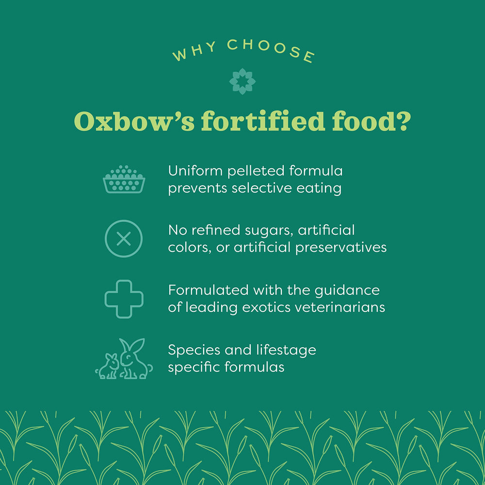 Oxbow Essentials Senior – régime sain pour lapin âgé, immunité et vitalité