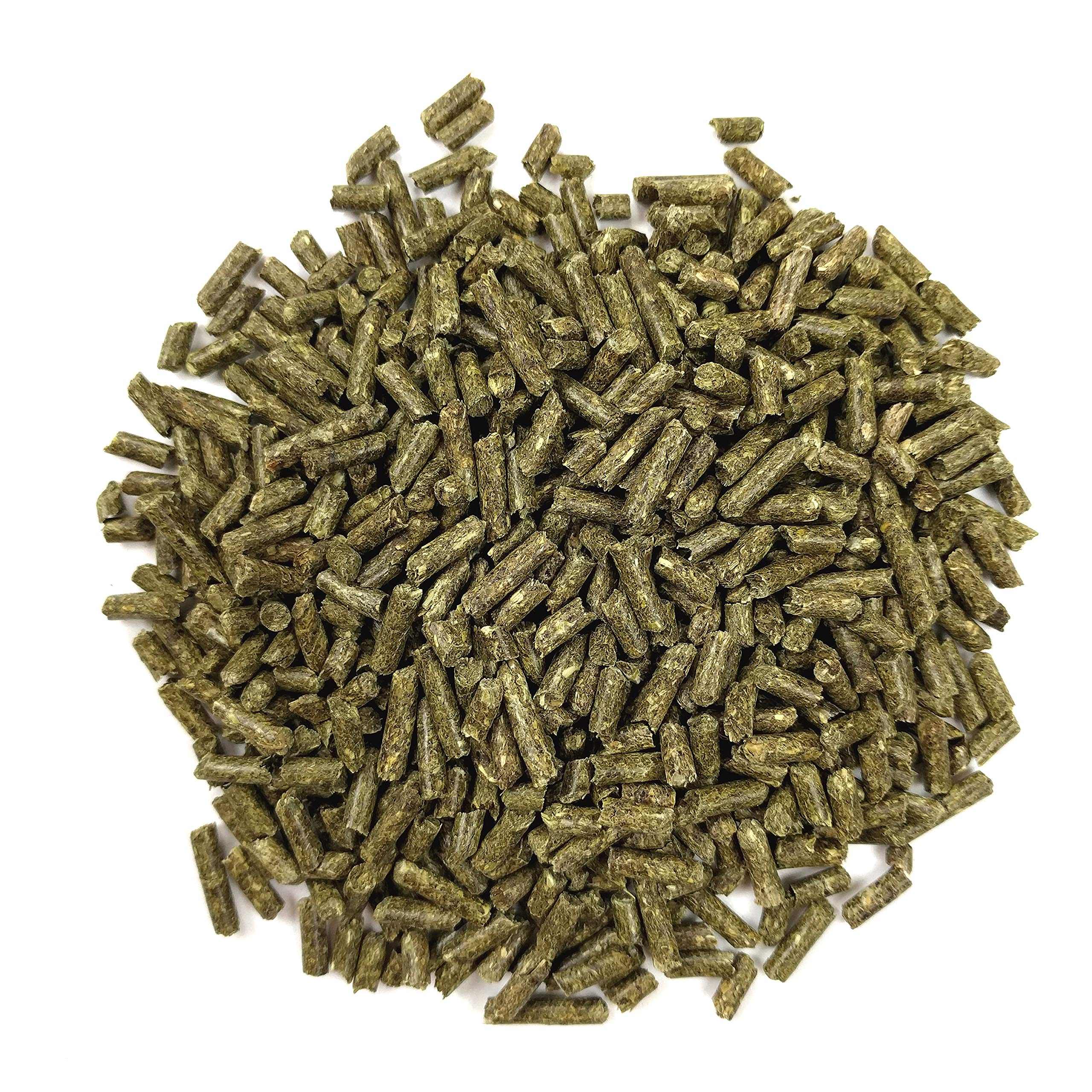 Oxbow Essentials texture granules en gros plan.