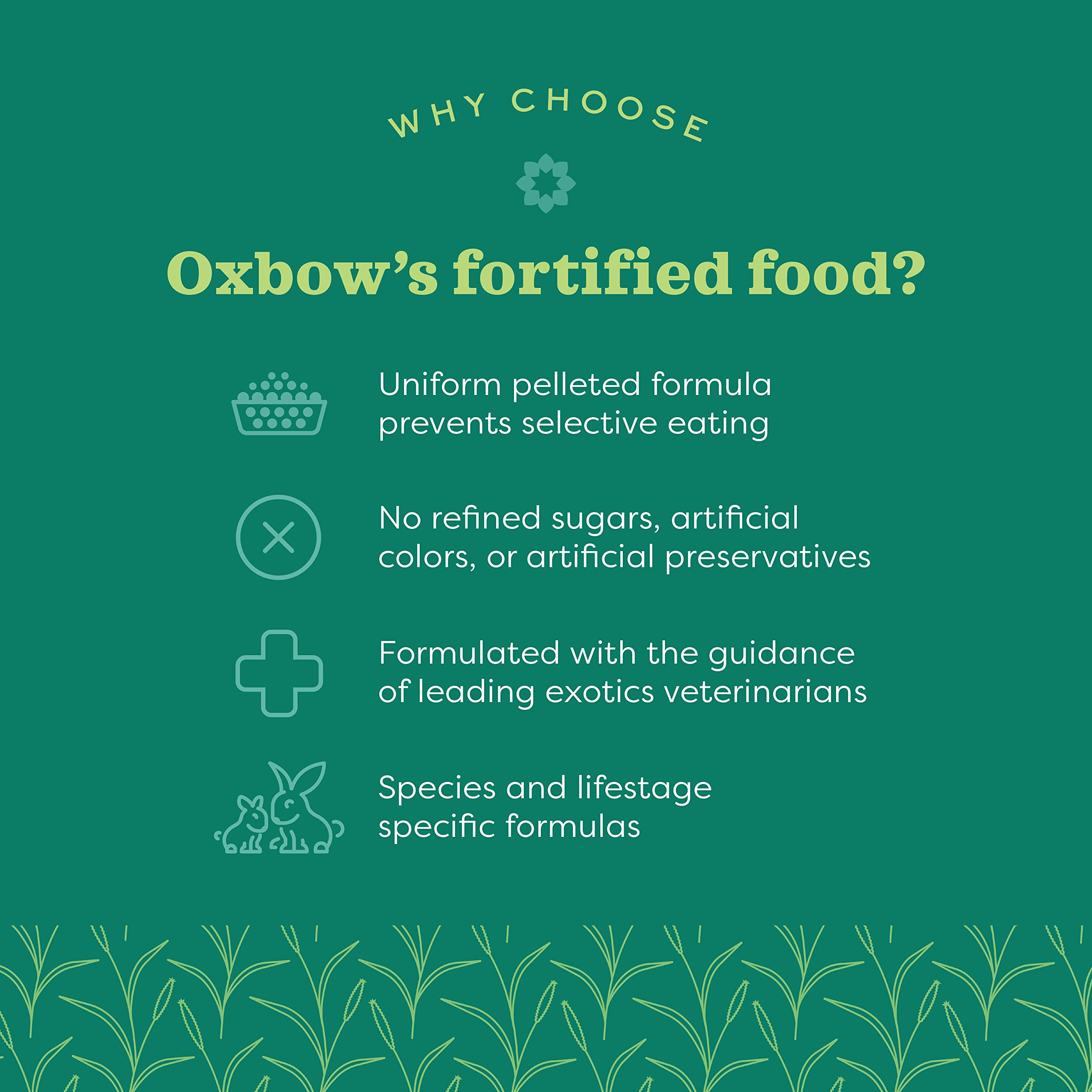 Oxbow Essentials – vitamine C stabilisée pour soutenir l'immunité du petit animal.