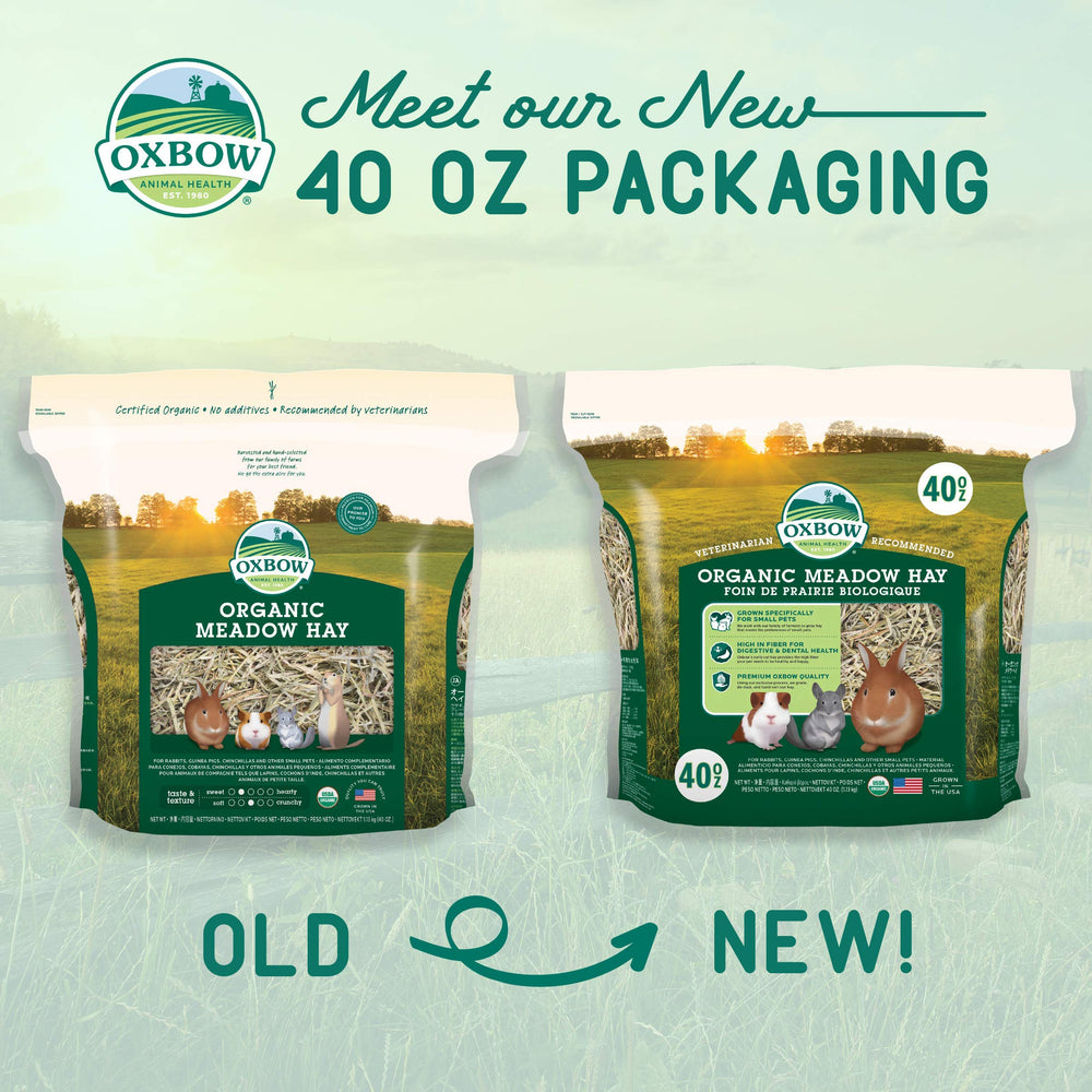 Oxbow Foin de prairie — emballage 40oz pour une fraîcheur durable.