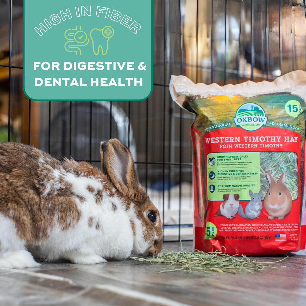 Oxbow Foin Timothy: usage quotidien recommandé pour compléter l’alimentation des lapins.