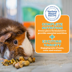 Oxbow Forage Wise foin de timothée haute fibre favorisant la digestion
