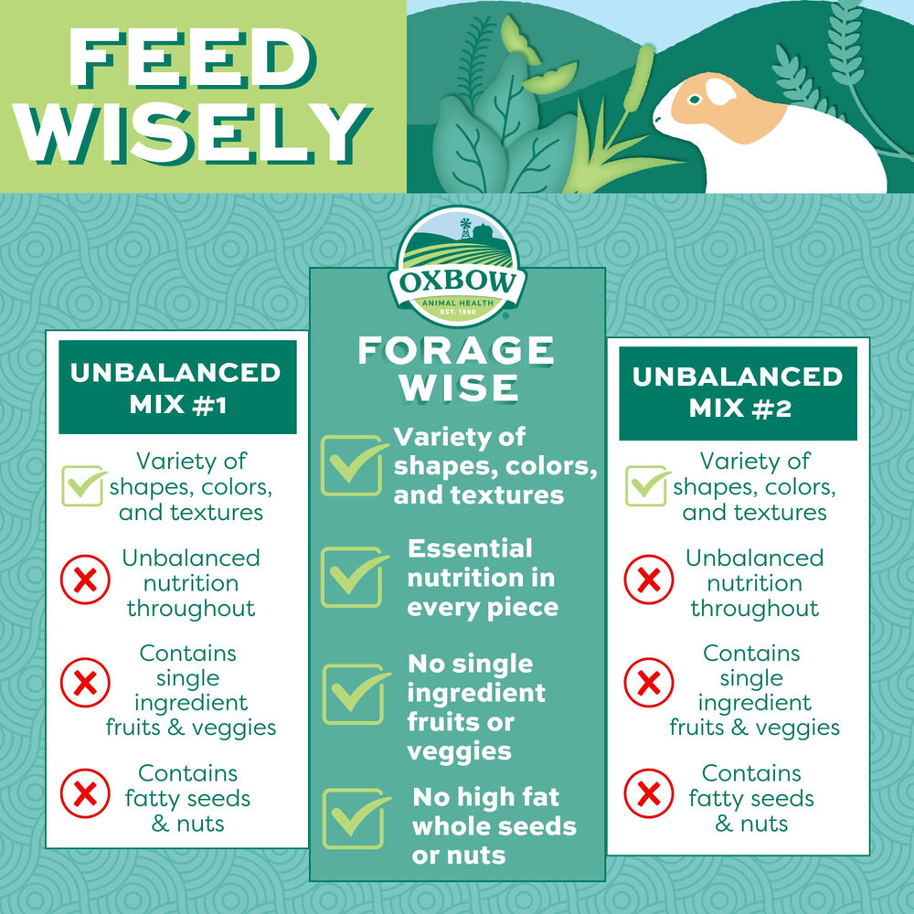 Oxbow Forage Wise granulés colorés et textures variées stimulent l’alimentation