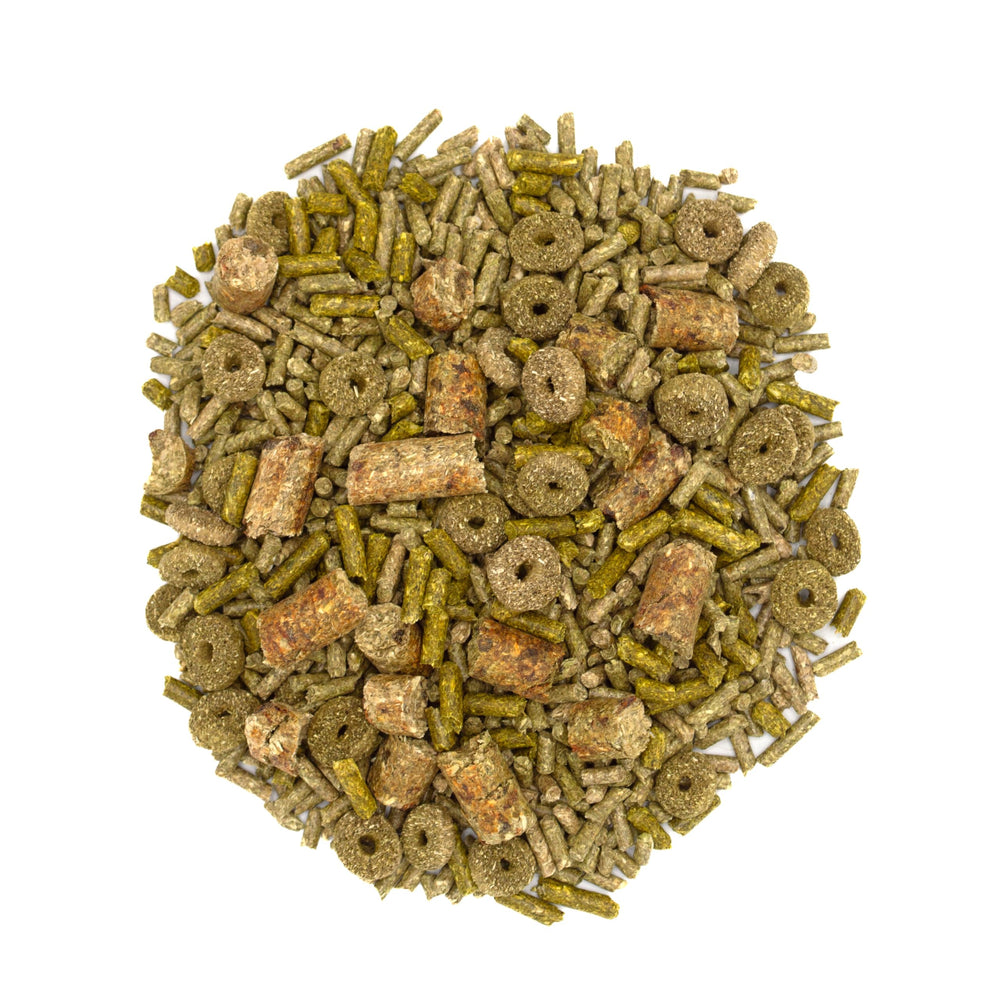Oxbow Forage Wise nutrition quotidienne sans artifices