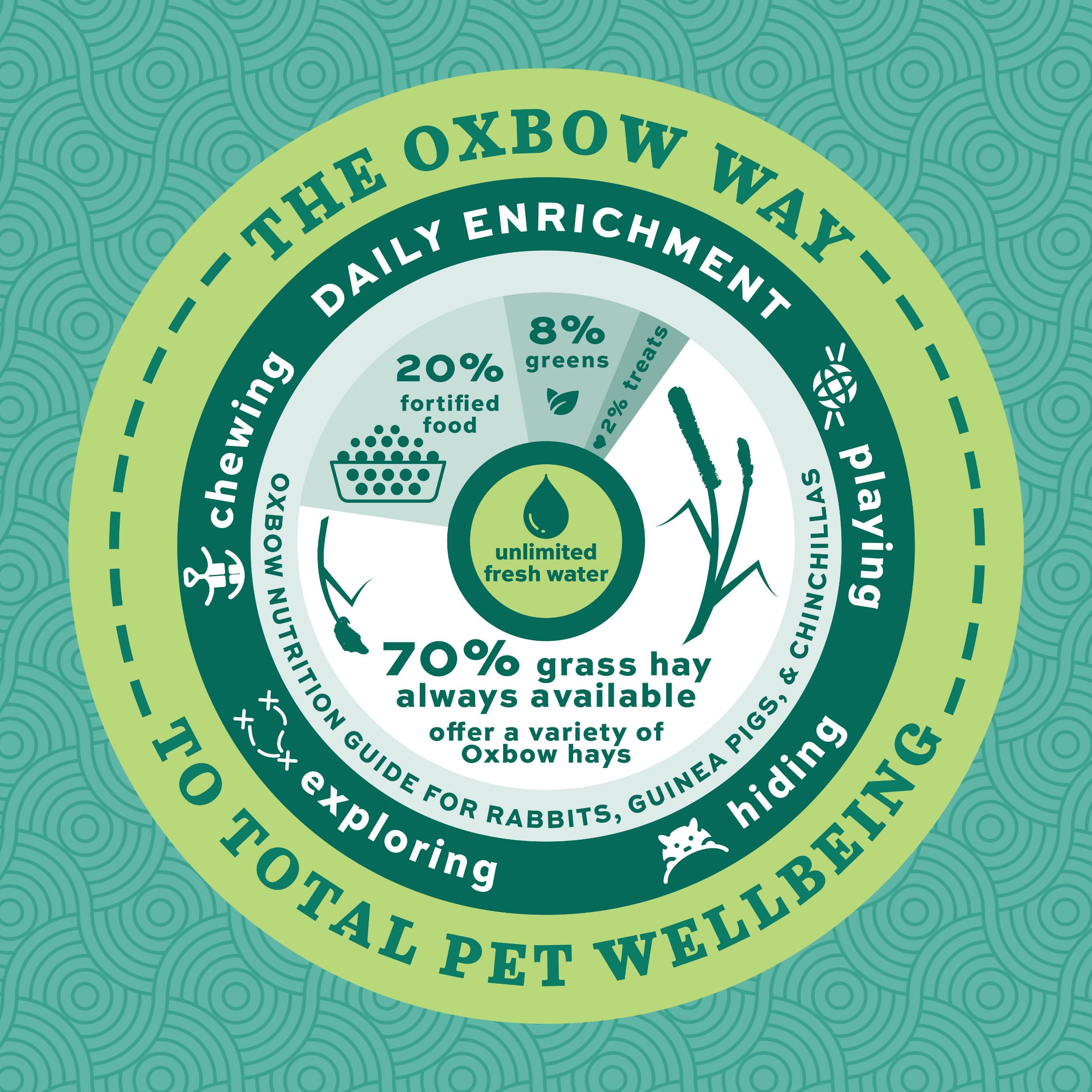 Oxbow Forage Wise soutien digestif et alimentation équilibrée