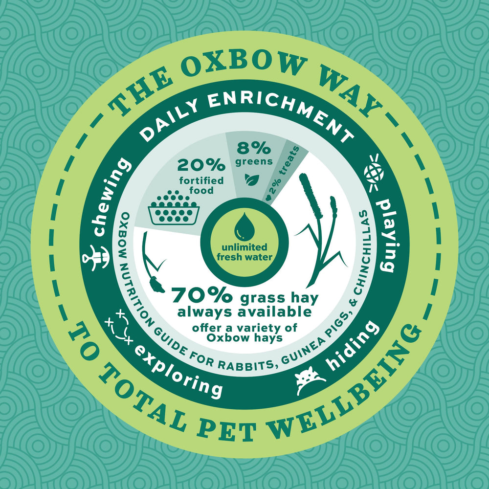 Oxbow Forage Wise soutien digestif et alimentation équilibrée
