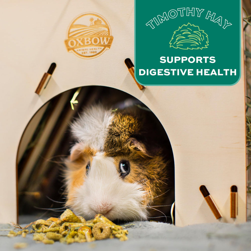 Oxbow Forage Wise vitamine C pour le bien‑être du cobaye