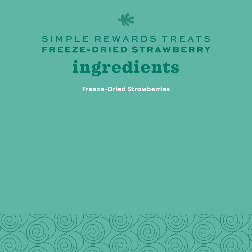 Oxbow fraises lyophilisées: emballage pratique pour partager et récompenser les petits animaux.