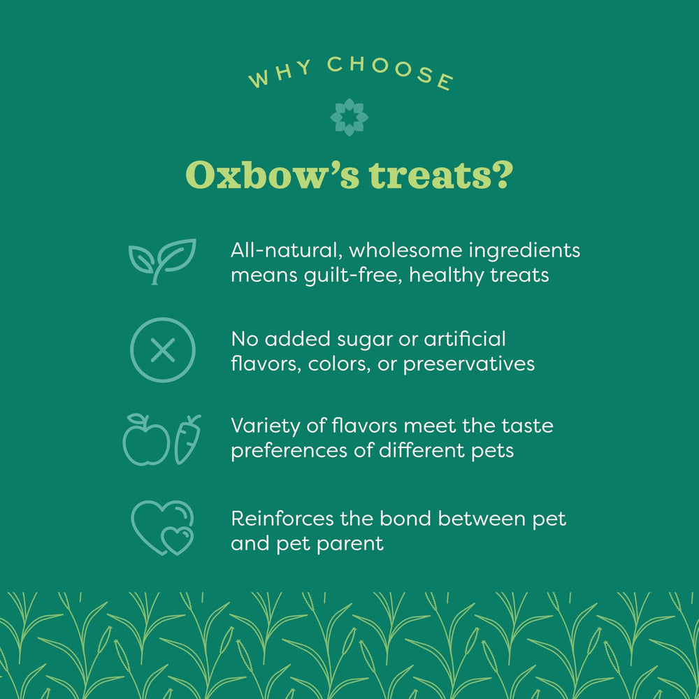 Friandise Oxbow orge, pomme et carotte pour petit animal.