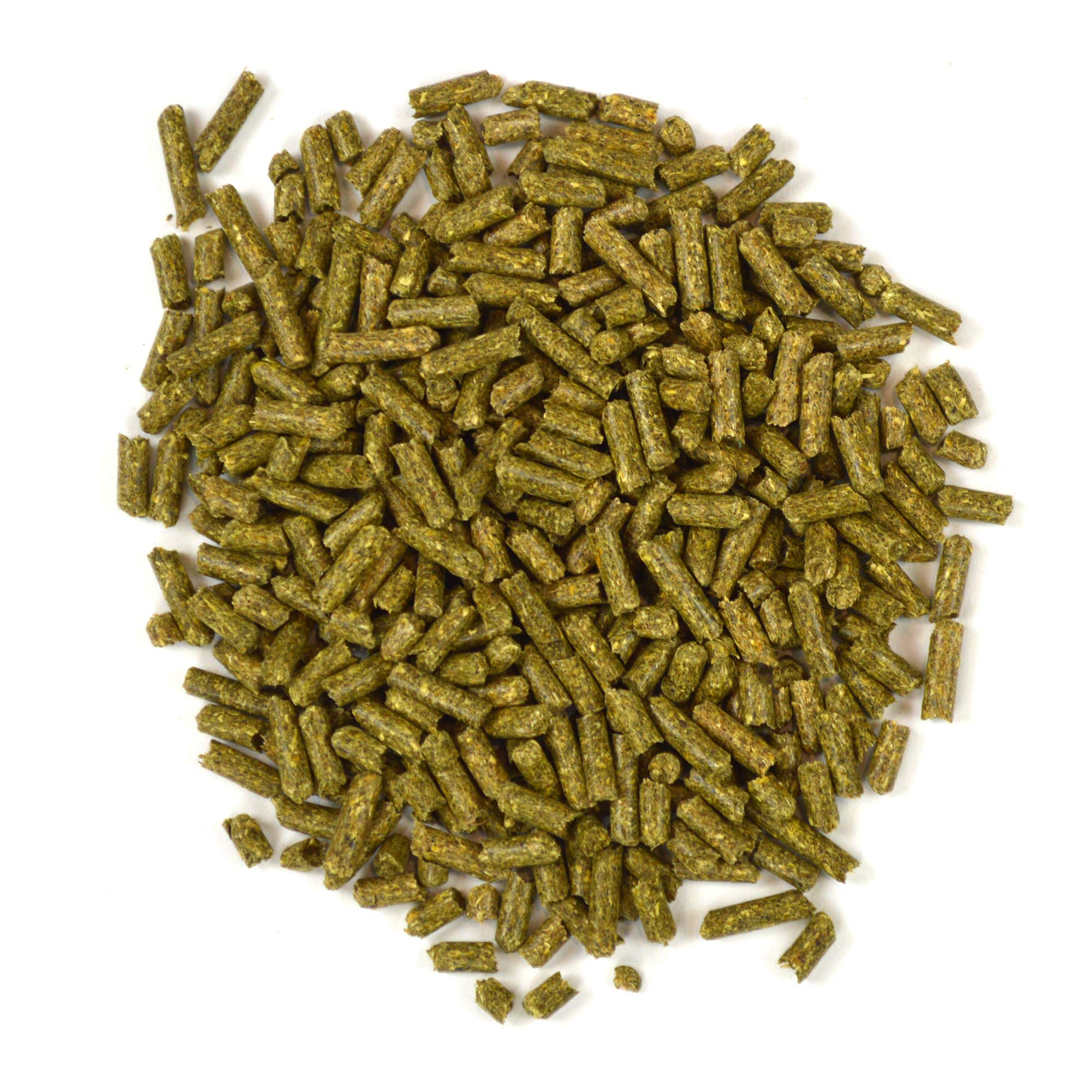 Oxbow Garden Select: fibres élevées pour soutenir digestion et dentition chez les cochons d'inde.