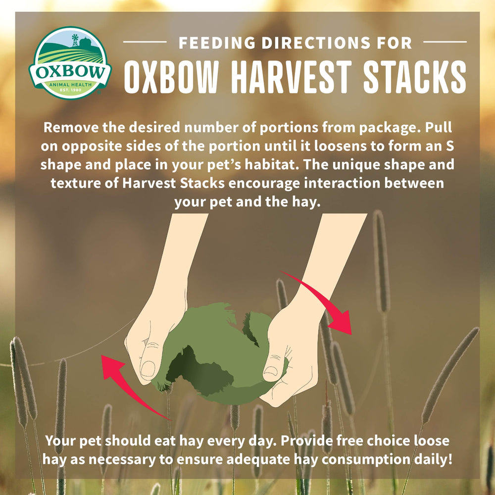 Oxbow Harvest Stacks : Format voyage pratique pour déplacements et petites maisons.