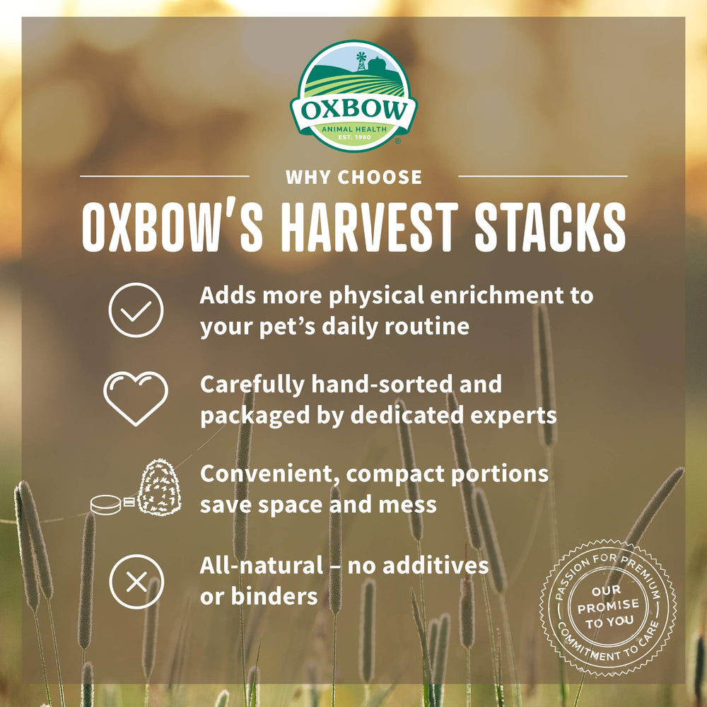 Oxbow Harvest Stacks : Poussière réduite pour un intérieur plus propre.
