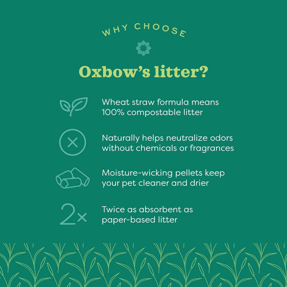 Oxbow litière sans poussière, nettoyage plus agréable.