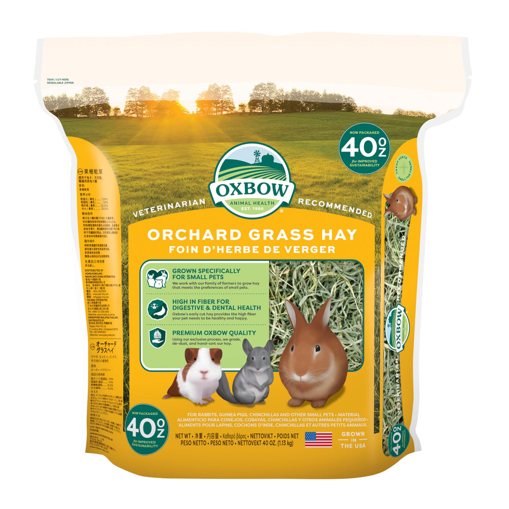 Oxbow Orchard Grass Hay, sac 40 oz, texture douce pour une digestion saine.