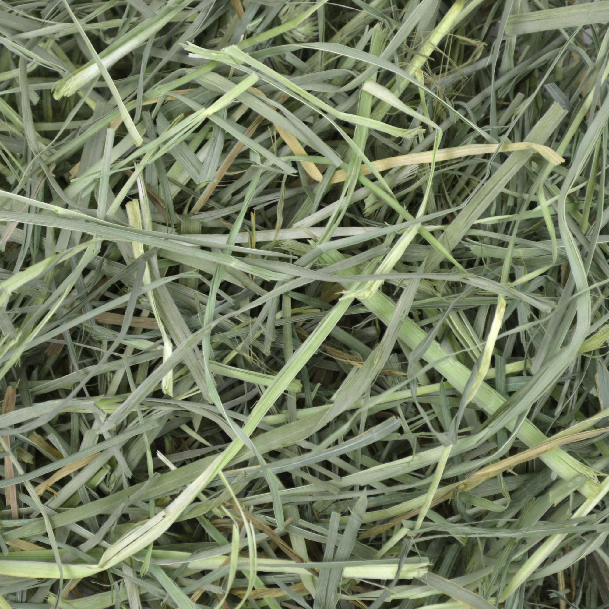 Oxbow foin d'herbe de verger: emballage pratique de 9 lb.