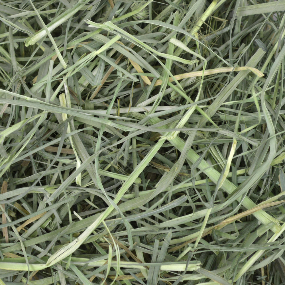 Oxbow foin d'herbe de verger: emballage pratique de 9 lb.