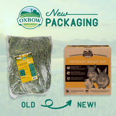 Oxbow foin d'herbe de verger: fibre élevée pour digestion potentielle.