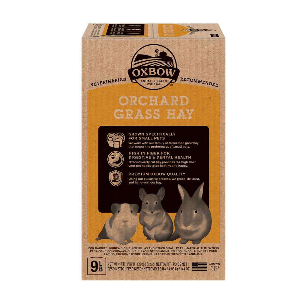Oxbow foin d'herbe de verger: soutien potentiel à la nutrition des petits animaux.