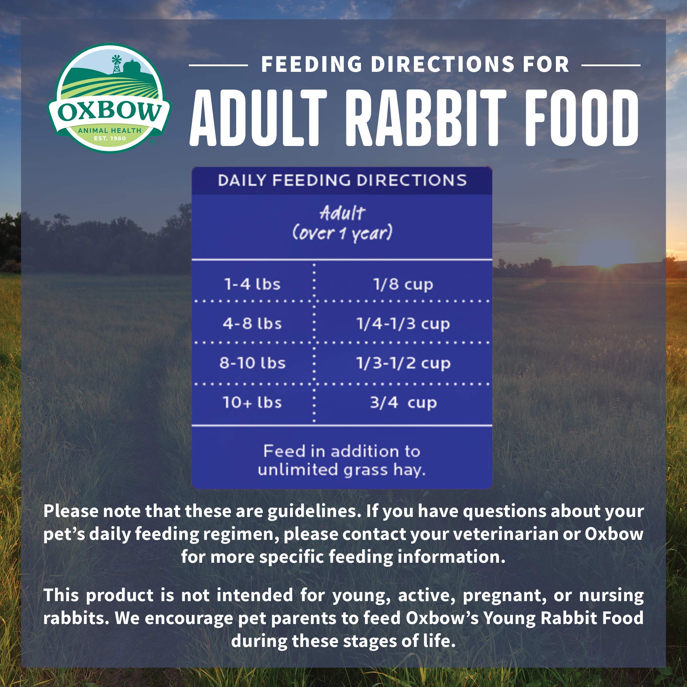 Antioxydants naturels d'Oxbow Organic Bounty soutenant la vitalité du lapin.