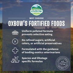 Pelage brillant grâce aux oméga contenus dans Oxbow Organic Bounty.